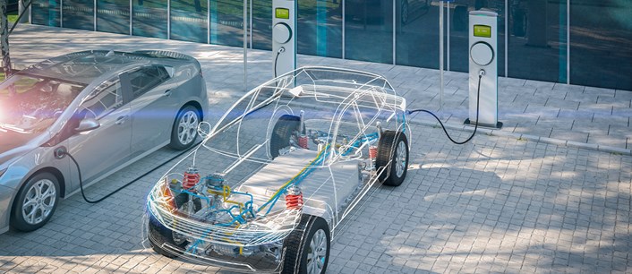 Sıvı Elektrolite En Yeni Alternatif: Bir Güç Kaynağı Olarak Ağaç Gövdesi