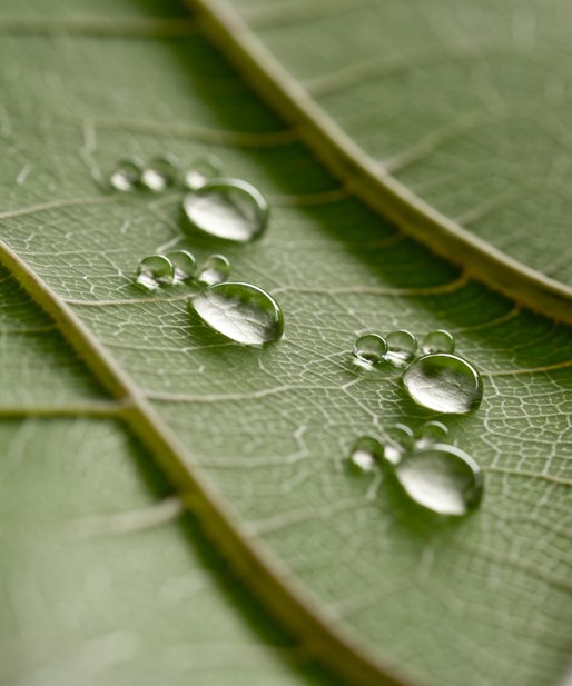 Su Ayak İzinizi Azaltmak İçin Atılabilecek 10 Adım